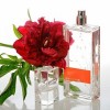 Armand Basi In Red edt